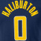 Camisola Nike Indiana Pacers Icon Edition Tyrese Haliburton Criança