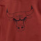 Felpa Jordan Chicago Bulls Statement Fleece Courtside Niño