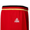 Pantalón corto Peak Selección de Alemania Home 2024