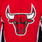 MITCHELL&NESS NBA Authentisches Aufwärmen Chicago Bulls 92-93 Jacke