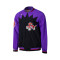 Chaqueta MITCHELL&NESS NBA Authentic Warm Up Toronto Raptors 1995-96