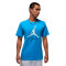 Camisola Jordan Jumpman Flight