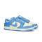 Nike Dunk Low Retro Sneaker