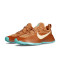 Zapatillas Nike Lebron TR 1