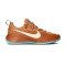 Zapatillas Nike Lebron TR 1