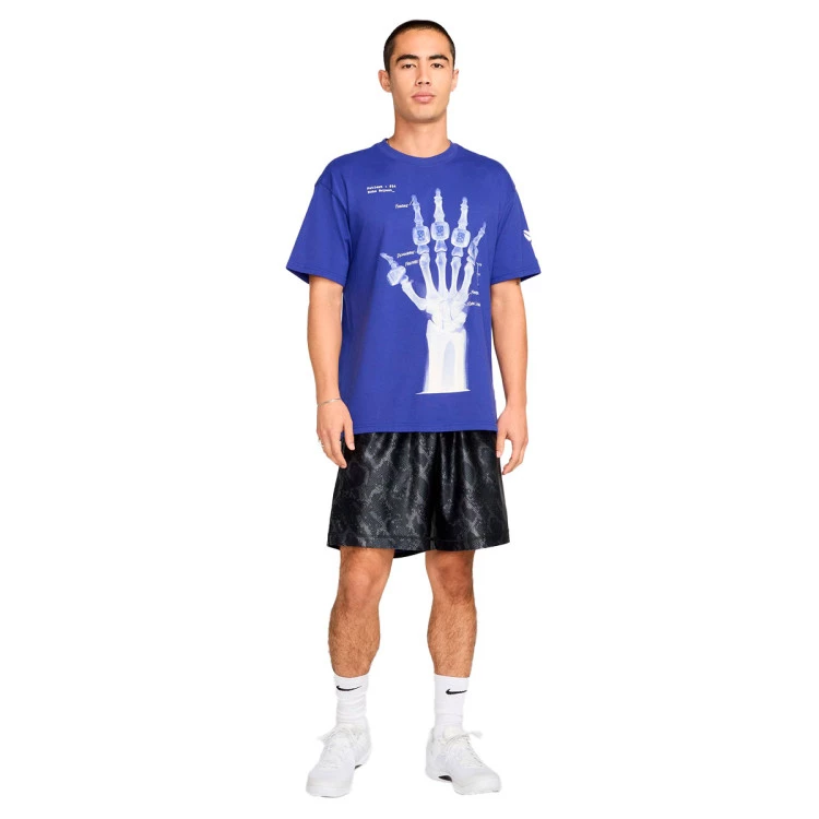 camiseta-nike-kobe-x-ray-max90-light-concord-6