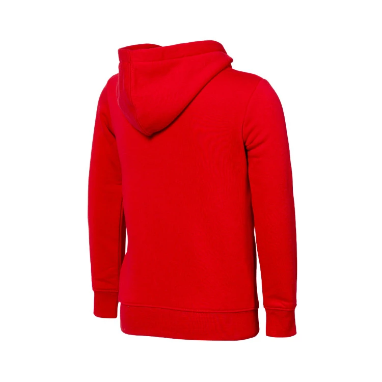 chandal-jordan-jersey-pack-pullover-gym-red-2