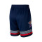 Jordan NBA All-Star Weekend 2025 Team 2 Shorts