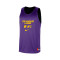 Nike Los Angeles Lakers Mesh Practice Courtside Jersey