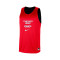 Nike Chicago Bulls Mesh Practice Courtside Jersey