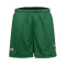 Nike Boston Celtics Mesh Übungsplatz Wendbar Shorts