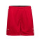 Nike Chicago Bulls Mesh Practice Courtside Reversible Shorts