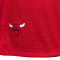 Nike Chicago Bulls Mesh Practice Courtside Reversible Shorts