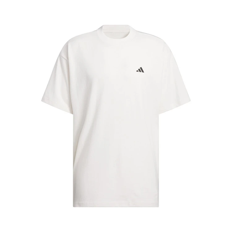 camiseta-adidas-ant-gfx-tee-cloud-white-5