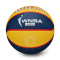 Ballon Wilson WNBA Team Tribute Basket Indiana Fever