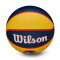 Ballon Wilson WNBA Team Tribute Basket Indiana Fever