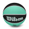 Ballon Wilson WNBA Team Tribute Basket New York Liberty