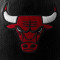 Ballon Wilson NBA Team Premiere Chicago Bulls