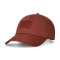 Gorra Jordan Club