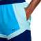 Nike Dri-Fit Woven Icon 6I" Stf Shorts