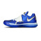 Tenis Nike Zoom KD 4 The Real MVP