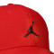 Gorra Jordan Jan Metal Jumpman Trucker