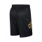 Nike Kids Toronto Raptors Swingman City Edition 2024-2025 Shorts