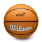 Balón Wilson ACB Outdoor