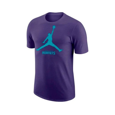 Camiseta Charlotte Hornets Essential Jumpman Niño