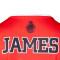 Camisola Spalding AS Monaco Basket Mike James